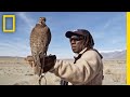 Hunting With Falcons: How One City Man Found His Calling in the Wild | Short Film Showcase