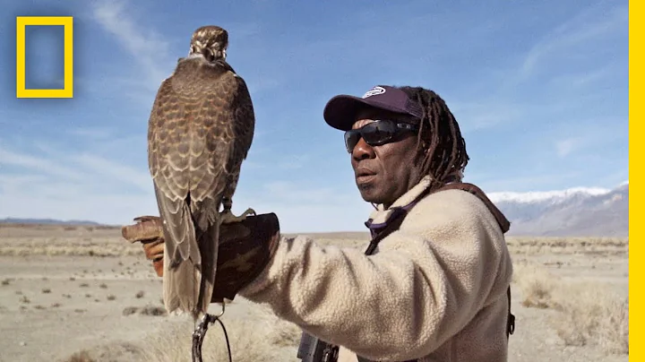 Hunting With Falcons: How One City Man Found His Calling in the Wild | Short Film Showcase - DayDayNews