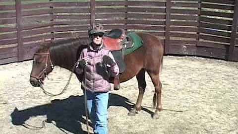 Rehabilitating the Foxtrot with Elizabeth Graves