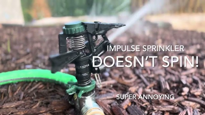 How to water your lawn with an impact sprinkler 