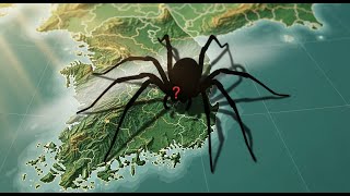 타란튤라보다 큰 거미가 우리나라에 산다고..아니 진짜?