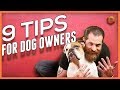 9 Power Tips for Living With a Dog - Foundations for All Dog Owners