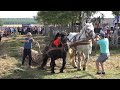 Concurs cu cai de tractiune Remetea Chioarului, Maramures 11 Sept 2021