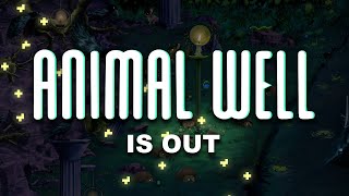 ANIMAL WELL is Out