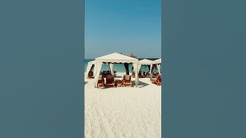 48 hours of pure luxury at Jumeirah Al Qasr, Dubai ✨🏝️. #DubaiLuxury #JumeirahAlQasr #luxurytravel