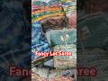 Fancy Lot Saree | surat saree | fancy saree #surat #saree