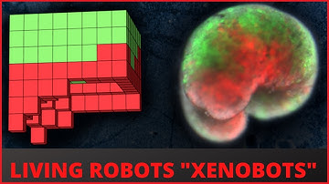 Scientist Create The First Living Robots Xenobots at UVM