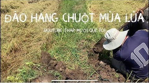 Tập 11 - Bắt Chuột Mùa Lúa Ở Miền Tây - Digging Goods To Catch Mice