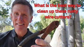 What is the best way to clean up these rusty wire cutters?