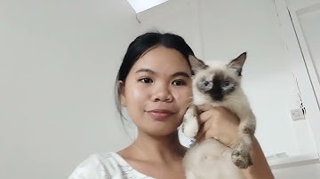 Introduce yourself in a creative way — Nursing Informatics Laboratory