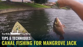 How to Catch Mangrove Jack on Soft Plastics - Fishing Canals screenshot 4