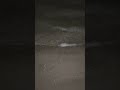 #beach #islamicsound #nightlife #saudiarabia #virlalshorts #viralvideo #goviral#shorts #travel