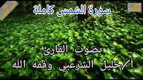 سورة الشمس بصوت الأخ الفاضل أ. خليل الشرعبي وفقه الله.