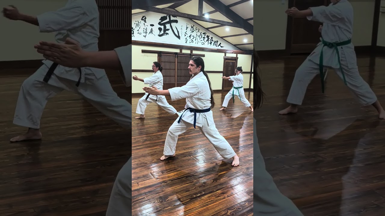 karate kihon. basics. #karate #floridabudokan