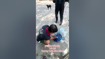 2 e Sóc Đất ship - Củ Chi - Trương Tuấn Sóc Cảnh