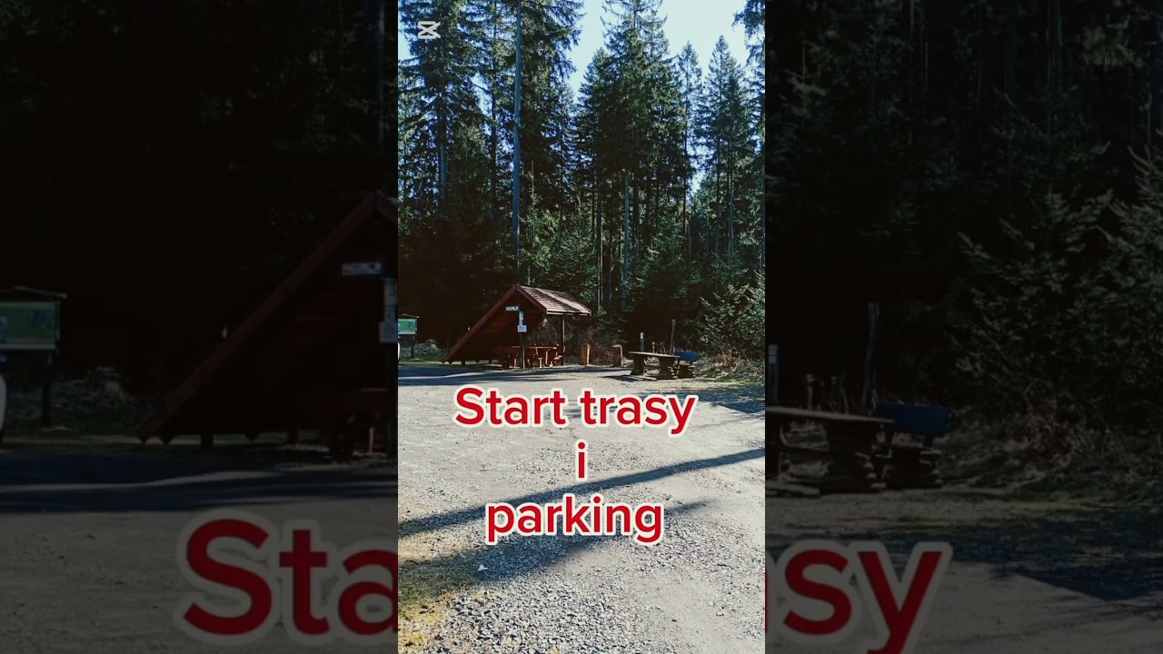 Wodospad Kwisa 💧 Jak trafić + najlepszy kadr (dziupla!) #shorts