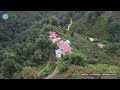 Trabzon / Köprübaşı / Yağmurlu Köyü