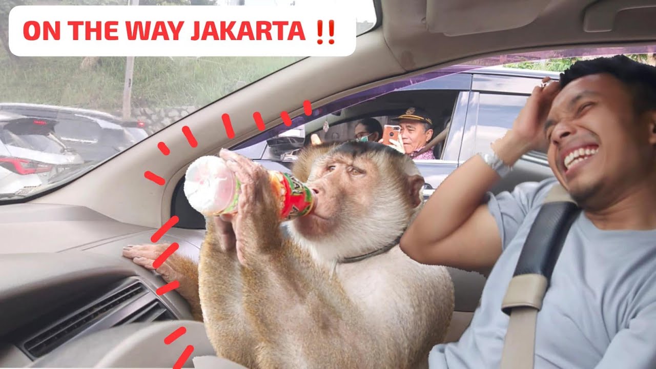 1 JAM FULL ‼️ BERUK BASTIAN OTW KE JAKARTA SELATAN NAIK MOBIL 