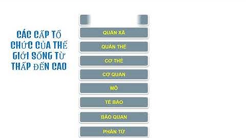 Sinh học 10   Bài 1:  Các cấp tổ chức của thế giới sống