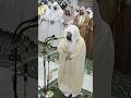 Surah Tawbah by Sheikh Sudais #ramadannights #shorts