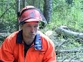 Лес: о нелегкой профессии вальщика леса
