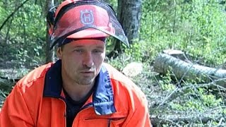 Лес: о нелегкой профессии вальщика леса