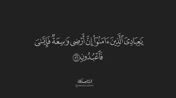Ankebut Suresi Abdurrahman Mossad  سورة العنكبوت عبد الرحمن مصد  Surah Al-Ankabut Abdurrahman Mossad