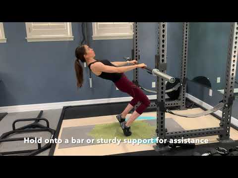 Sissy Squat assisted