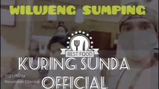 story wa 30detik HAMPURA#story wa lagu sunda galau#story wa lagu sedih