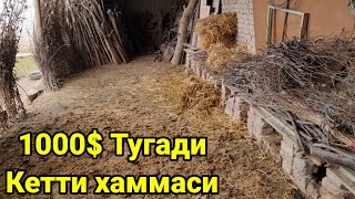 Одамларни ким алдади 1000$ га тушириб кетиш