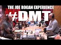 Joe rogan  roe jogan on dmt