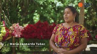 Del campo a las manos de una madre en Miami: el increíble viaje de las rosas guatemaltecas