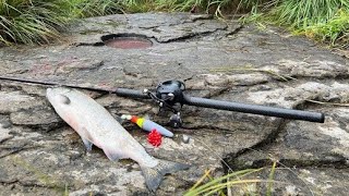 My top 3 setups to catch SPRING CHINOOK SALMON (bonus fish catch)