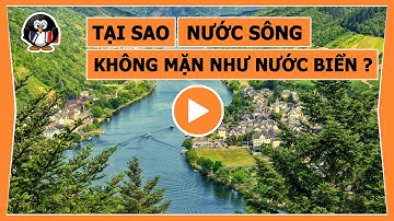 TẠI SAO NƯỚC SÔNG KHÔNG MẶN NHƯ NƯỚC BIỂN ?