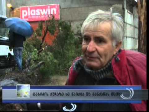 ბათუმში ტაბიძის ქუჩაზე ხე წაიქცა და მანქანას დაეცა