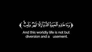 كروما شاشه سوداء قرآن كريم 🌿تلاوة من سورة العنكبوت 🌿القارئ ياسر الدوسري 🌿