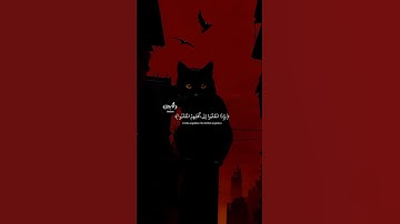 أكتب لك شيء تؤجر عليك يا غالي 🤍😴 تلاوات جميلة ل القارئ الصغير عثمان حداد #قرآن #اكسبلور