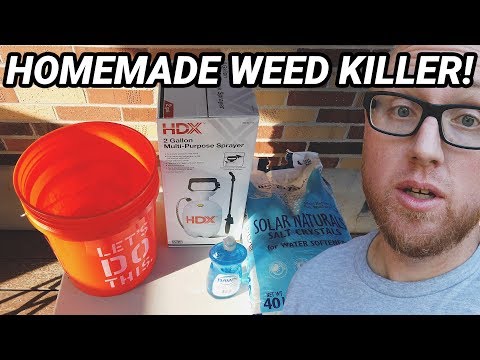 Homemade Weed Killer - Salt and Dish Soap // Dad Tech