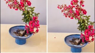 Crape Myrtle Flower Arrangement Ideas