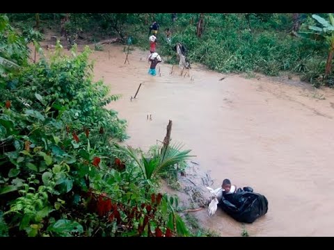 Vigía del Fuerte, otra vez, sufre en temporada de lluvias: 235 familias afectadas