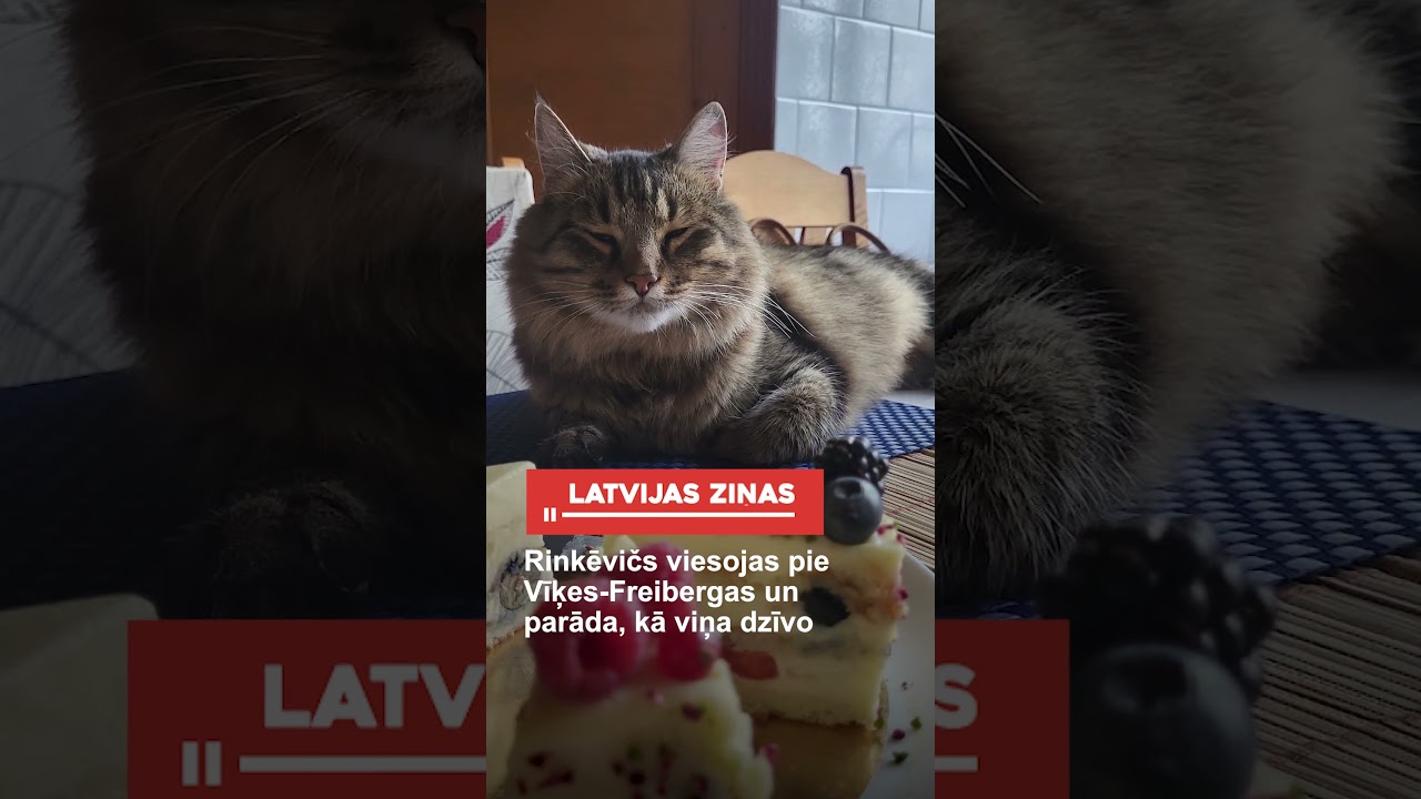 Rinkēvičs viesojas pie Vīķes-Freibergas un parāda, kā viņa dzīvo