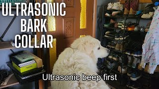 Demo of the ultrasonic bark collar