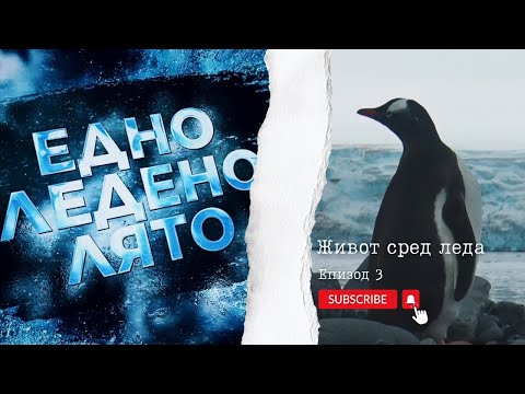 Едно ледено лято