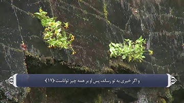 اقرار به یگانگی الله تعالی  آیه 17 - 18 سوره آل عمران
