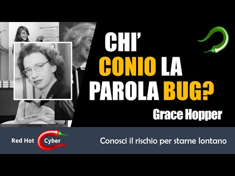 Video: Chi ha coniato il termine bug?
