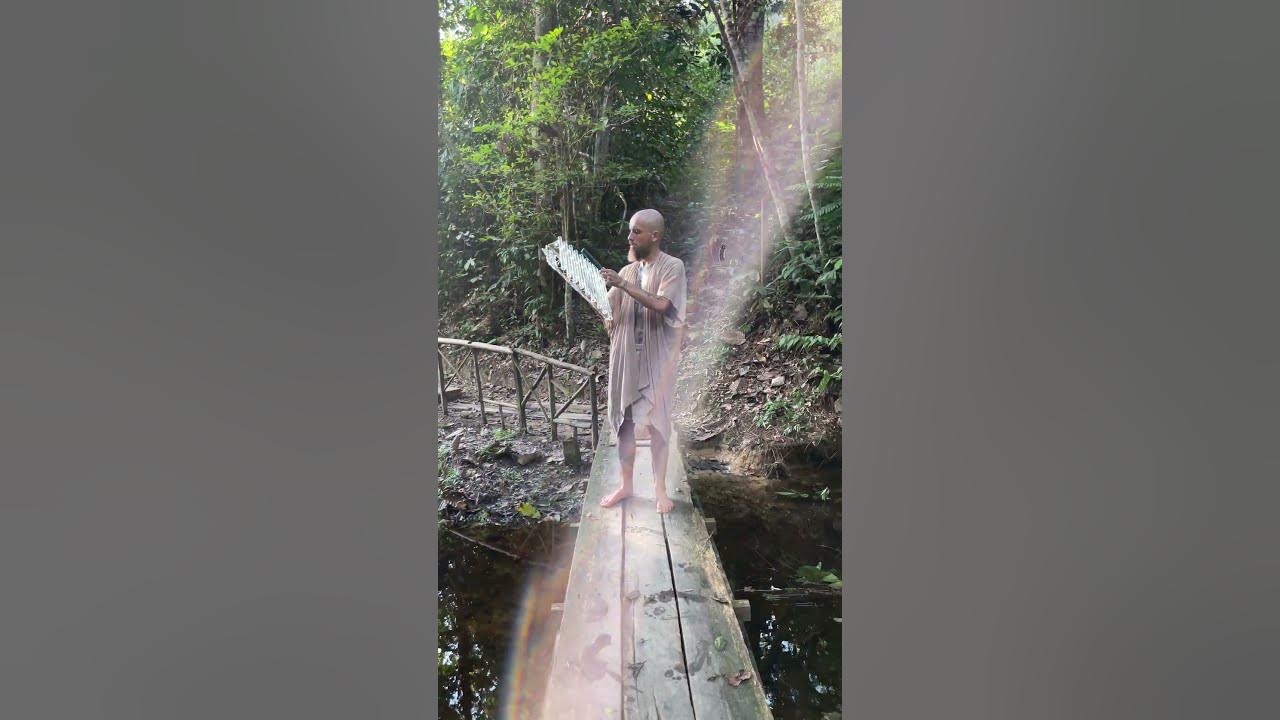 Crystal harp in jungle  #soundhealing #healing #432hz #crystal #harp