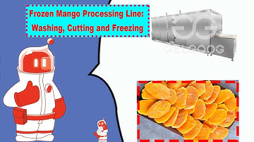 Frozen Mango Processing Line: Washing, Cutting and Freezing