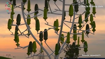 Wind Tree power generator