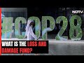 COP28 Explained | What Is The Loss And Damage Fund And Why It&#39;s Key For COP28