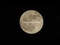 Colpi di Synth Lunari (Film Corto)